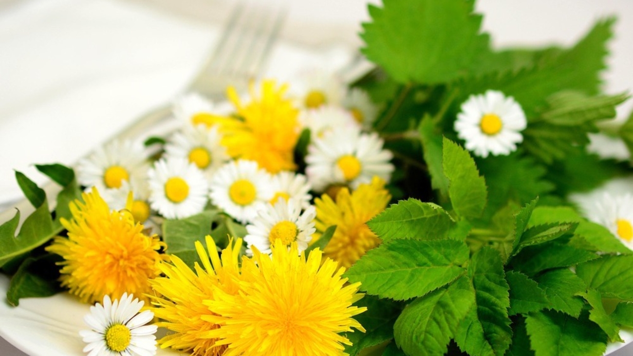 erbe officinali