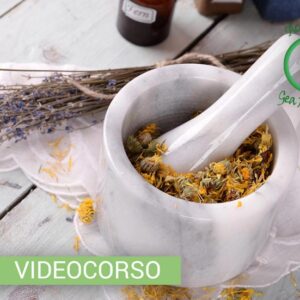 Videcorso nel Regno delle Erbe