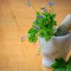 Workshop "Erboristeria casalinga"